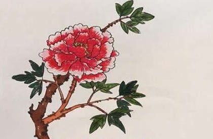 牡丹花简笔画